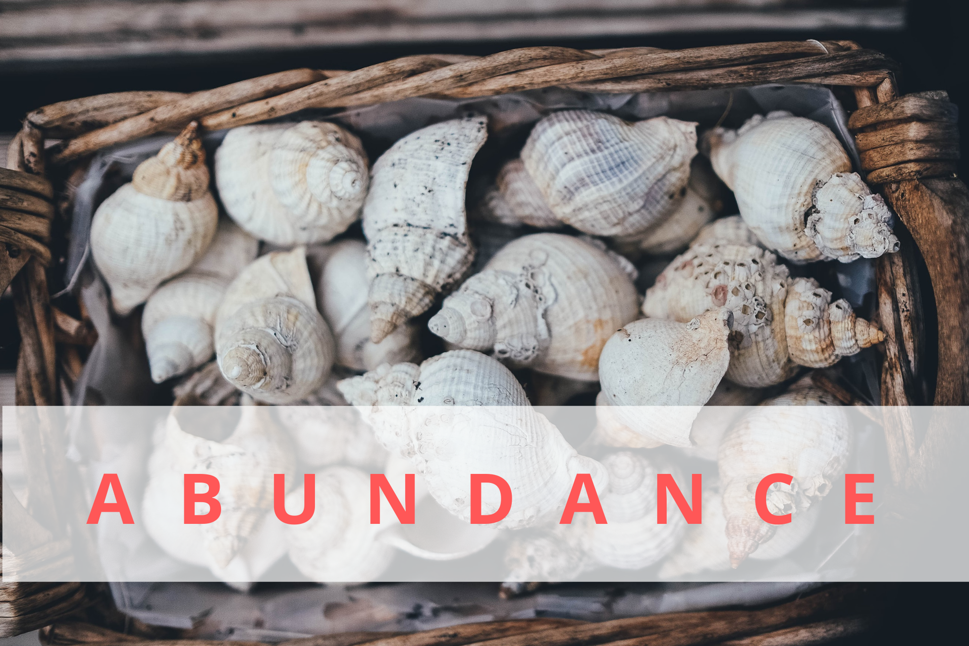 abundance-as-a-way-of-gaining-more