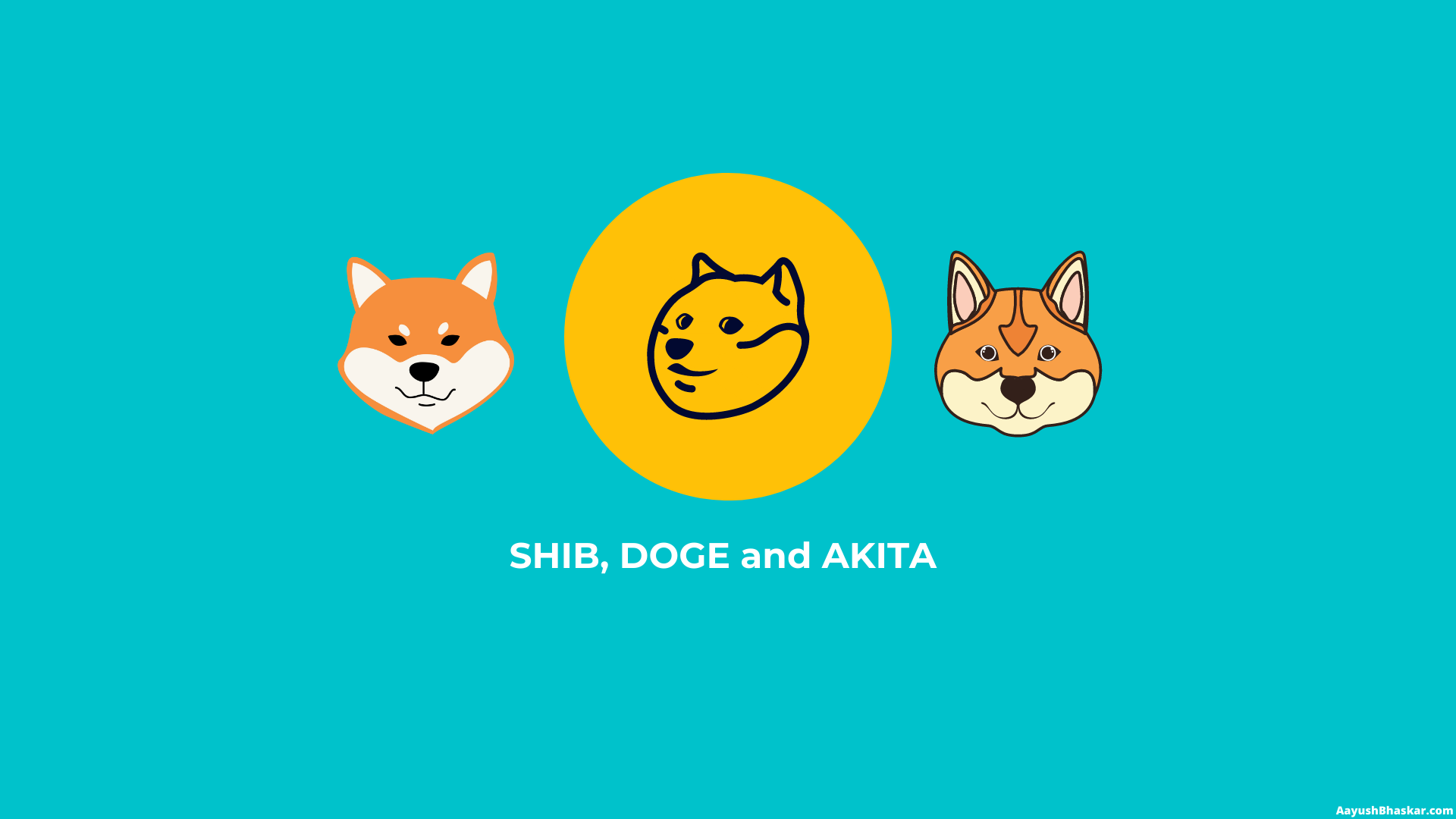 Why You Shouldn't Buy SHIB, AKITA or DOGE - Aayush Bhaskar